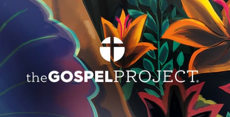 Trouble Seeing Orange